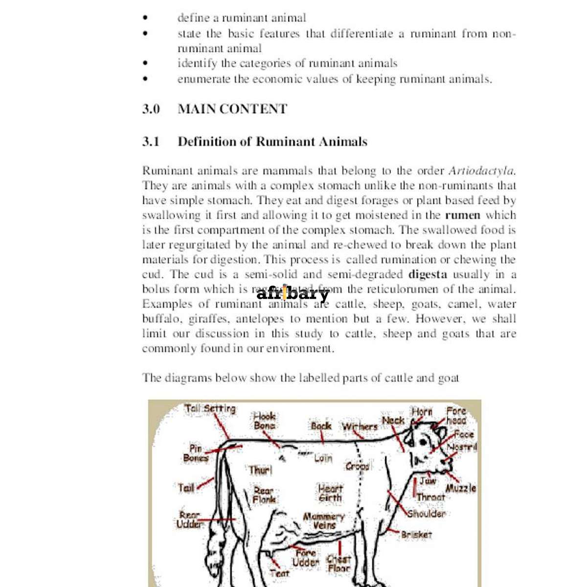 Ruminant Animals And Non Ruminant Animals