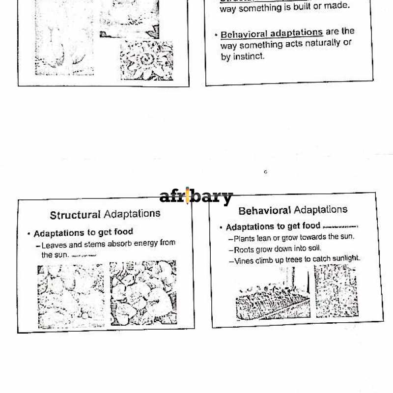 Bio 102 Plant And Flower Afribary