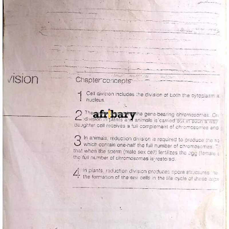 Bio 102 Cell Division Afribary