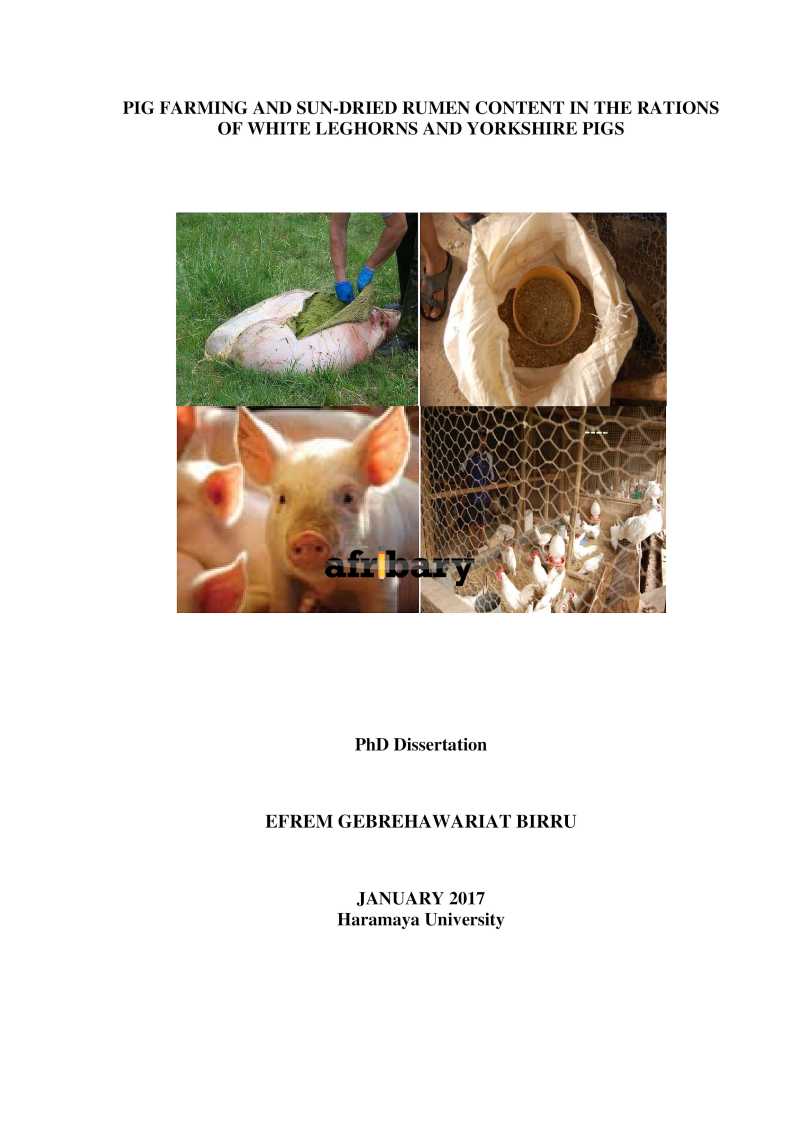 PIG FARMING AND SUN-DRIED RUMEN CONTENT IN THE RATIONS OF WHITE ...